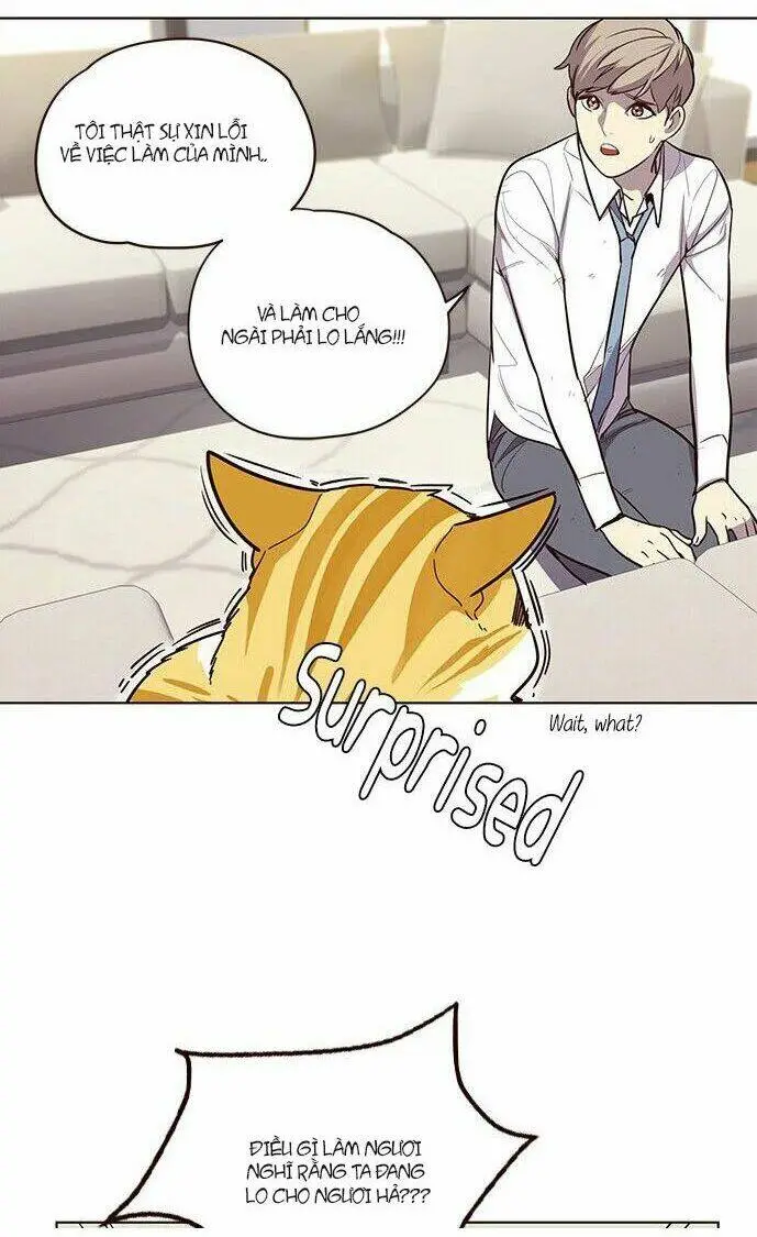 Chapter 6