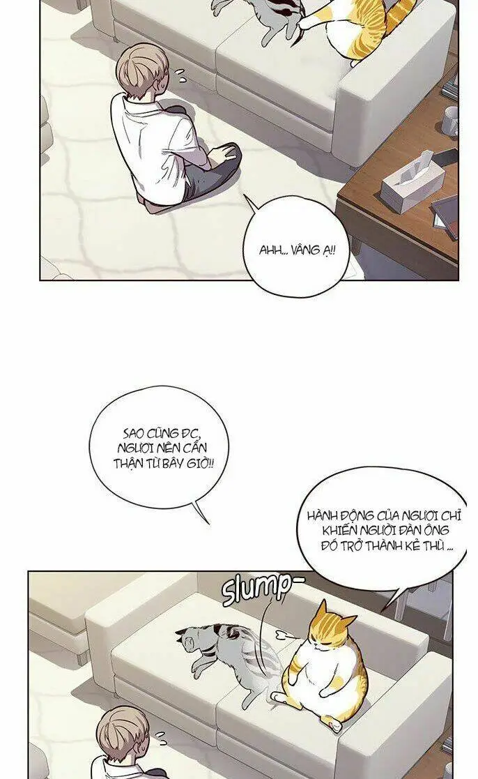 Chapter 6