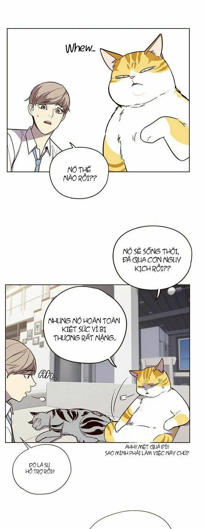 Chapter 6