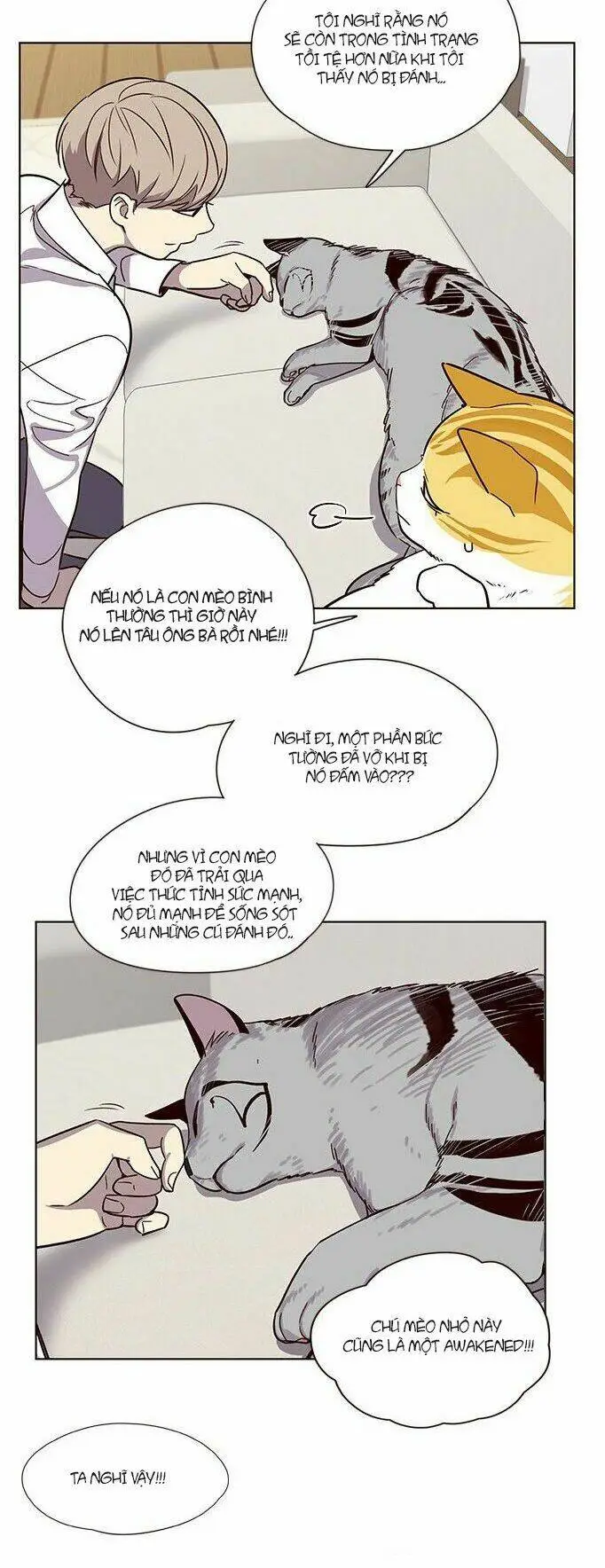 Chapter 6