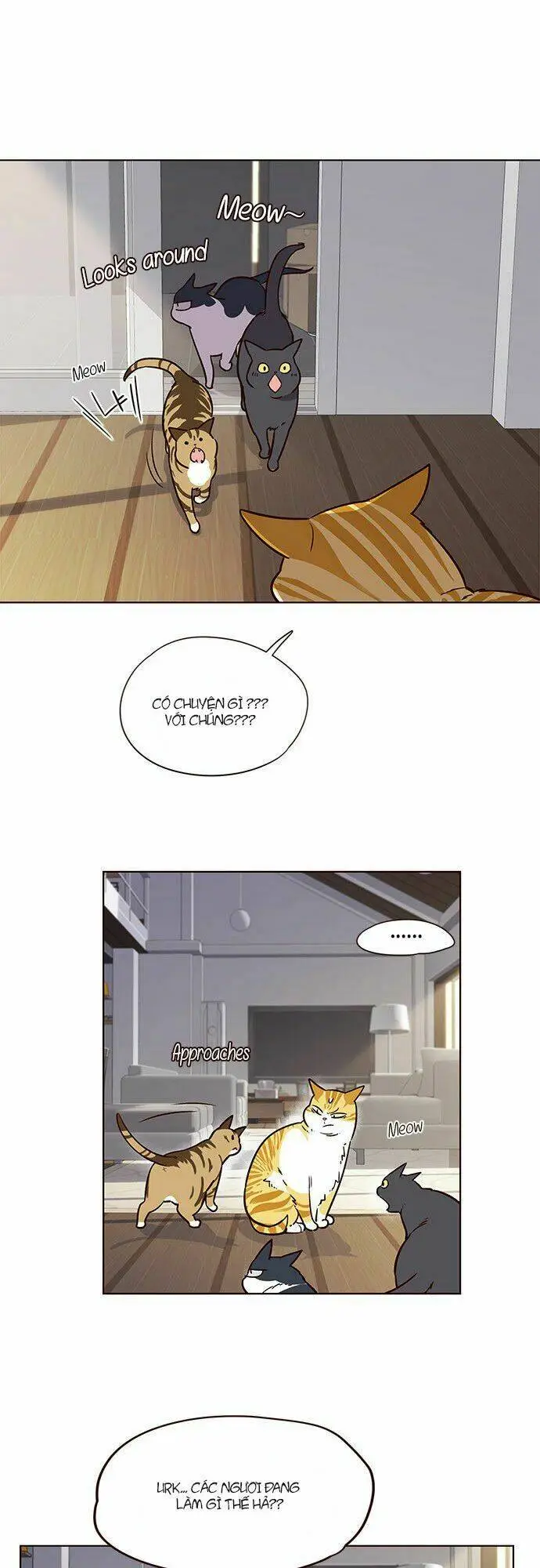 Chapter 6