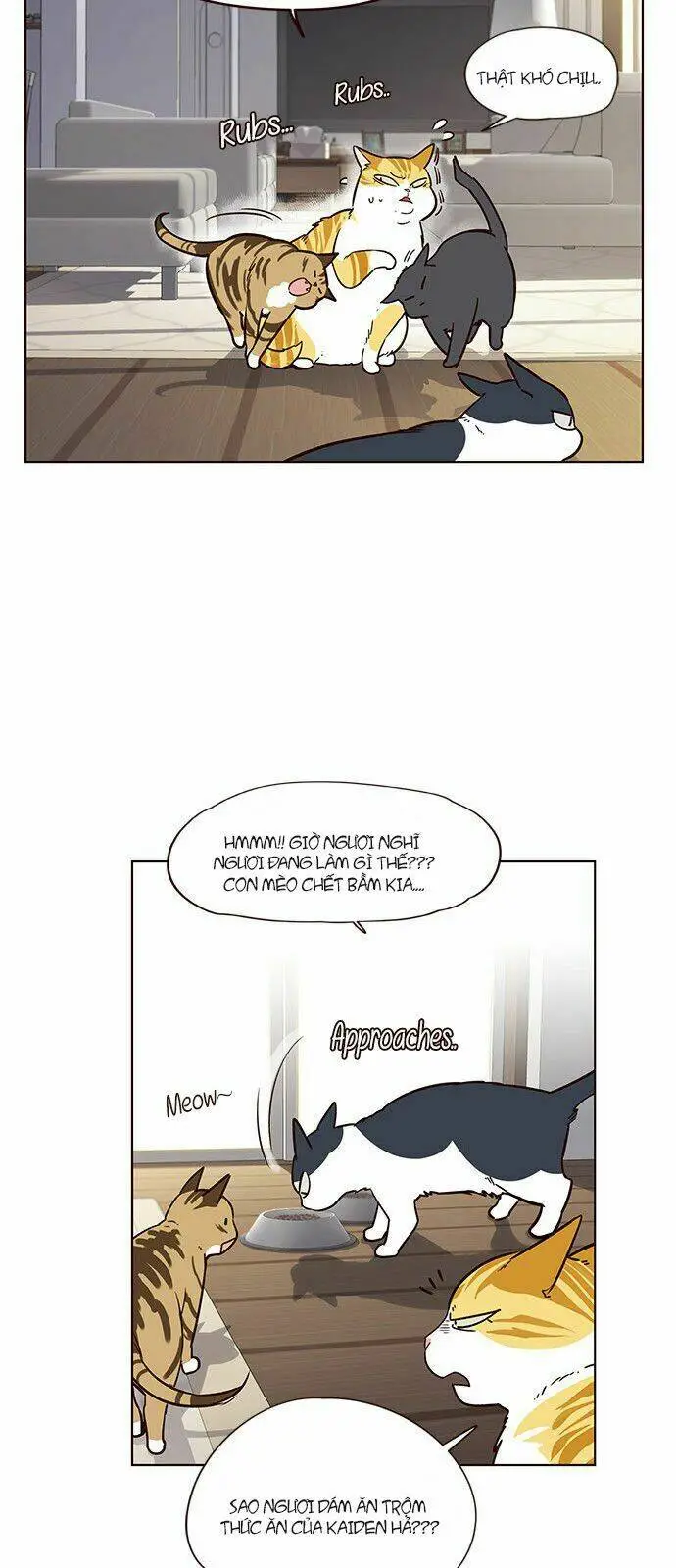 Chapter 6