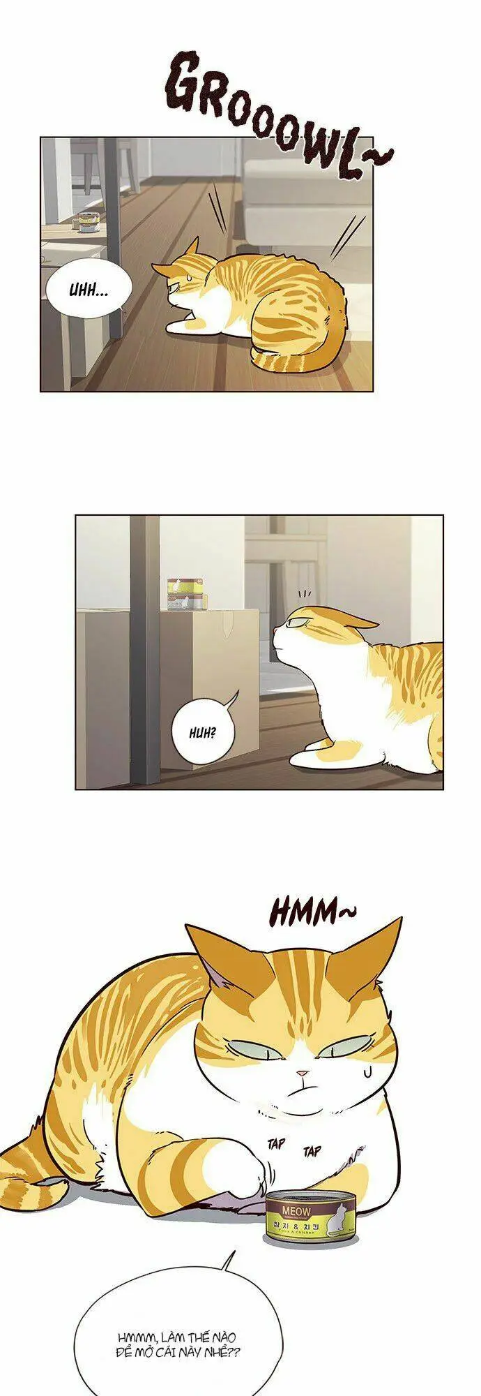 Chapter 6