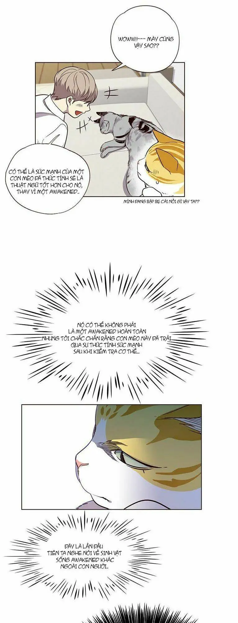 Chapter 6