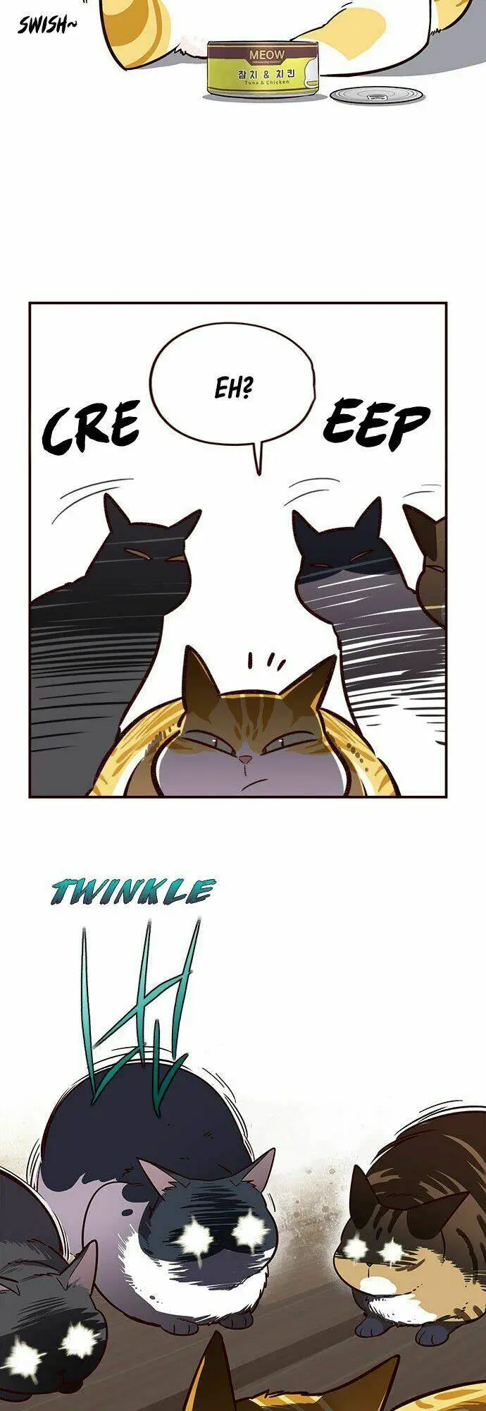 Chapter 6