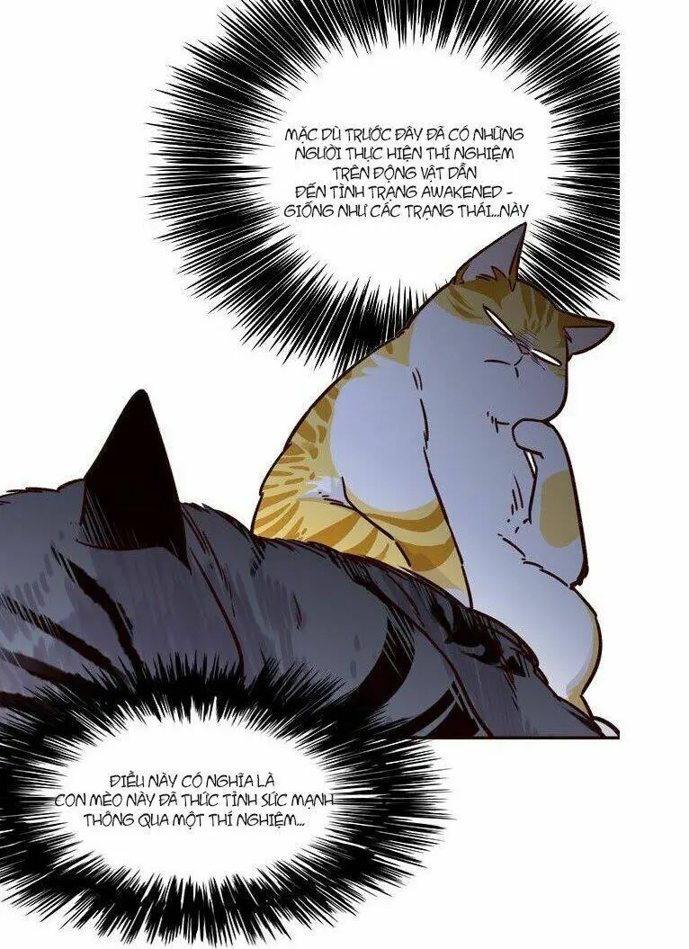 Chapter 6