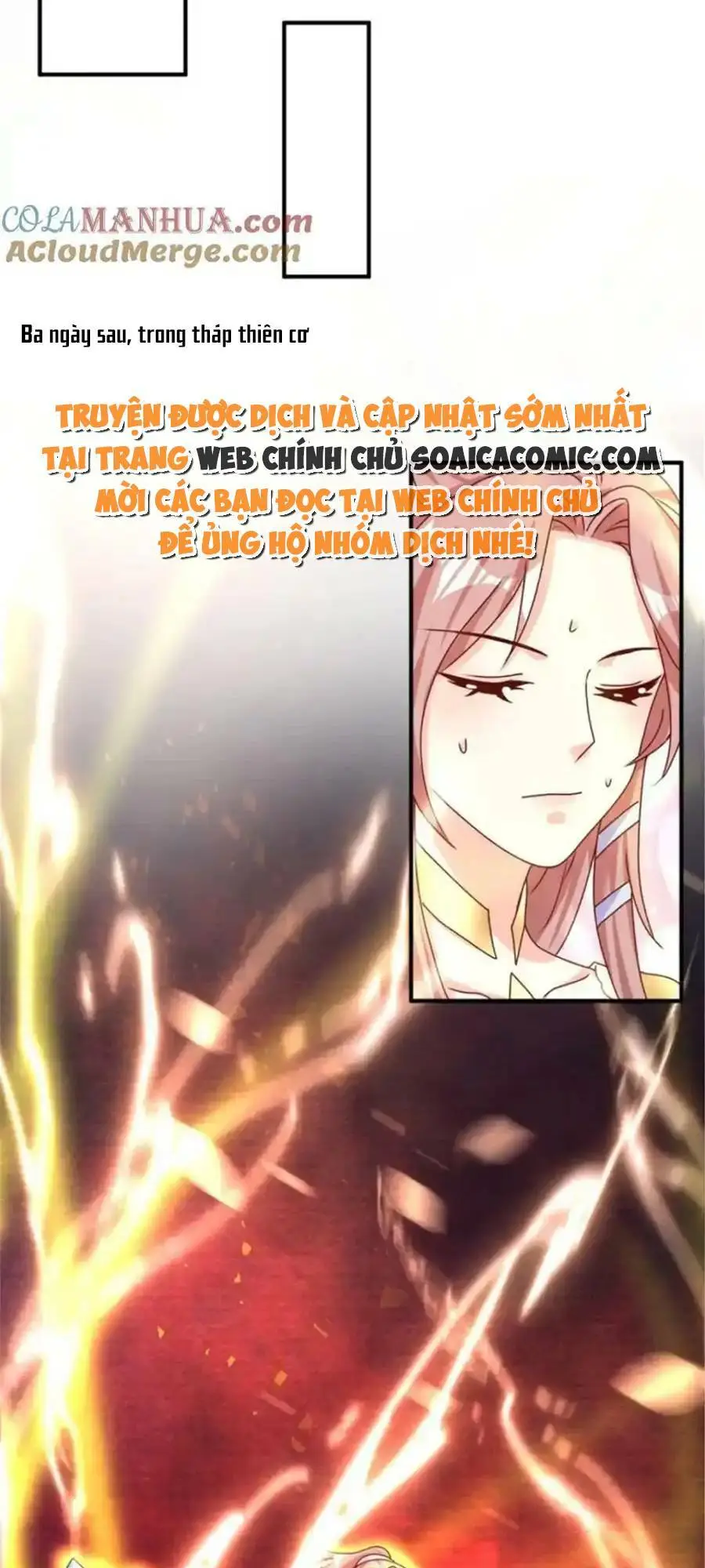 Chapter 219