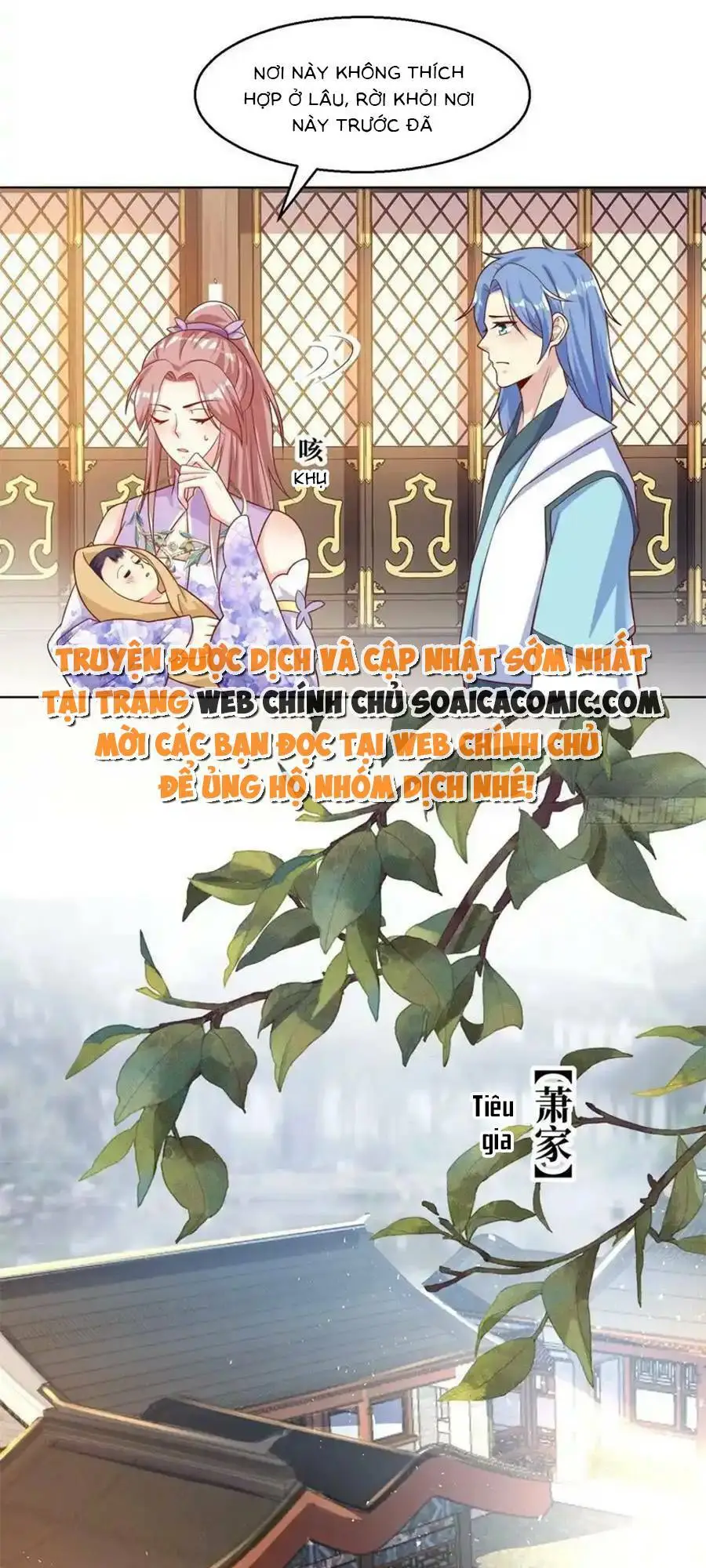 Chapter 211