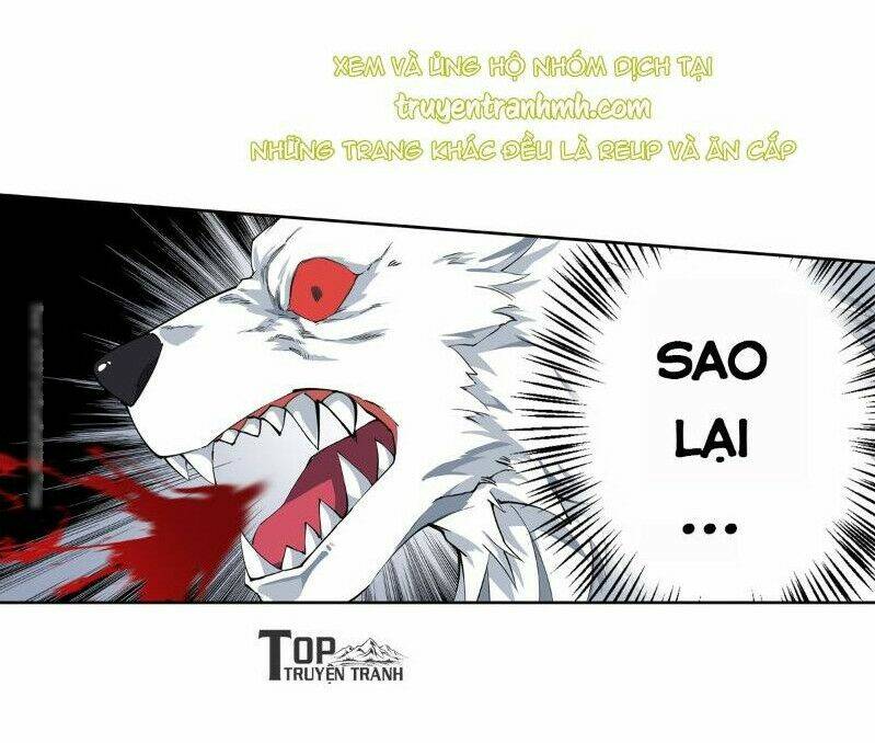 Chapter 41