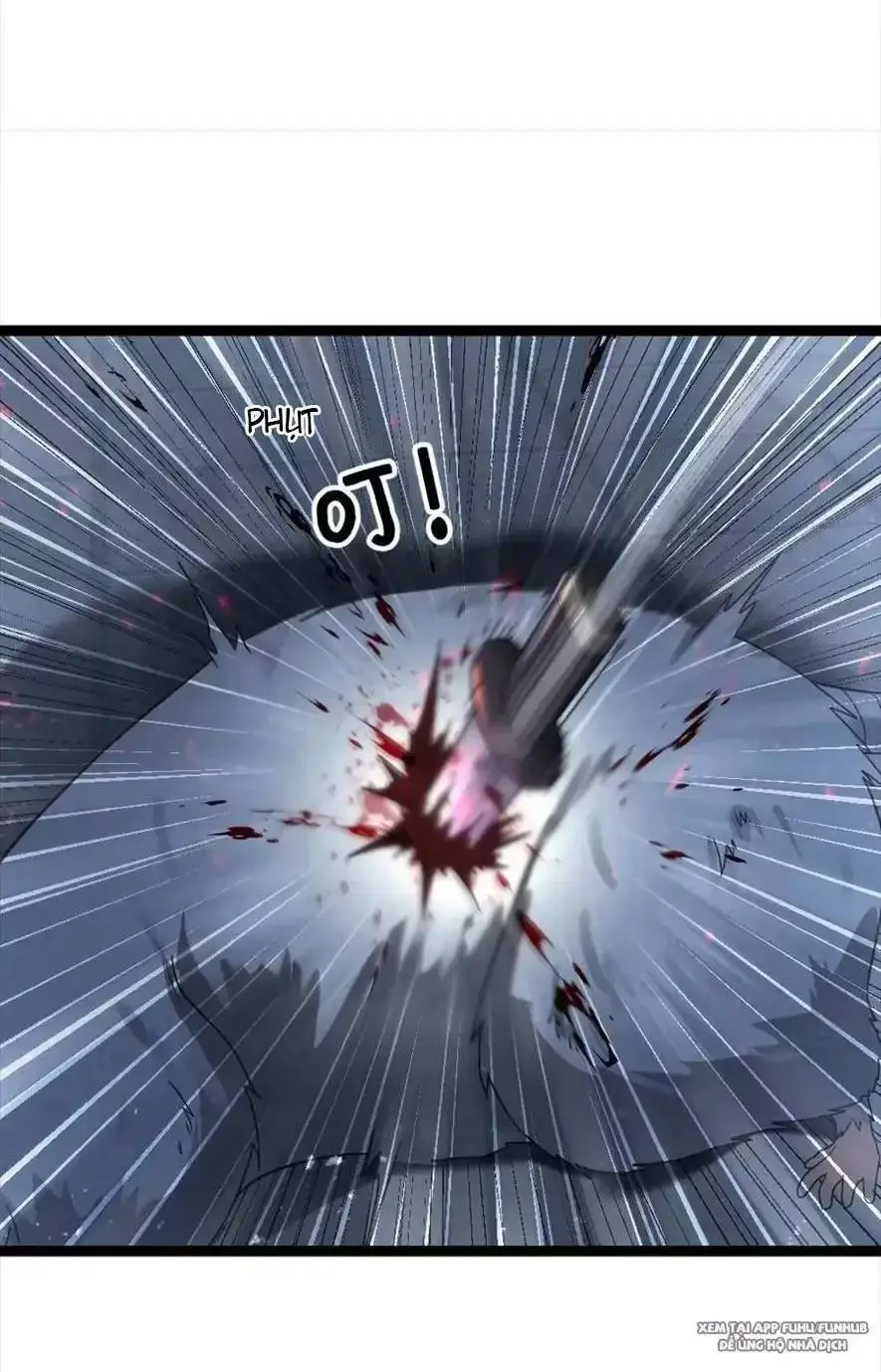 Chapter 355