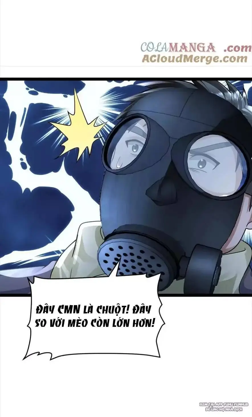 Chapter 355