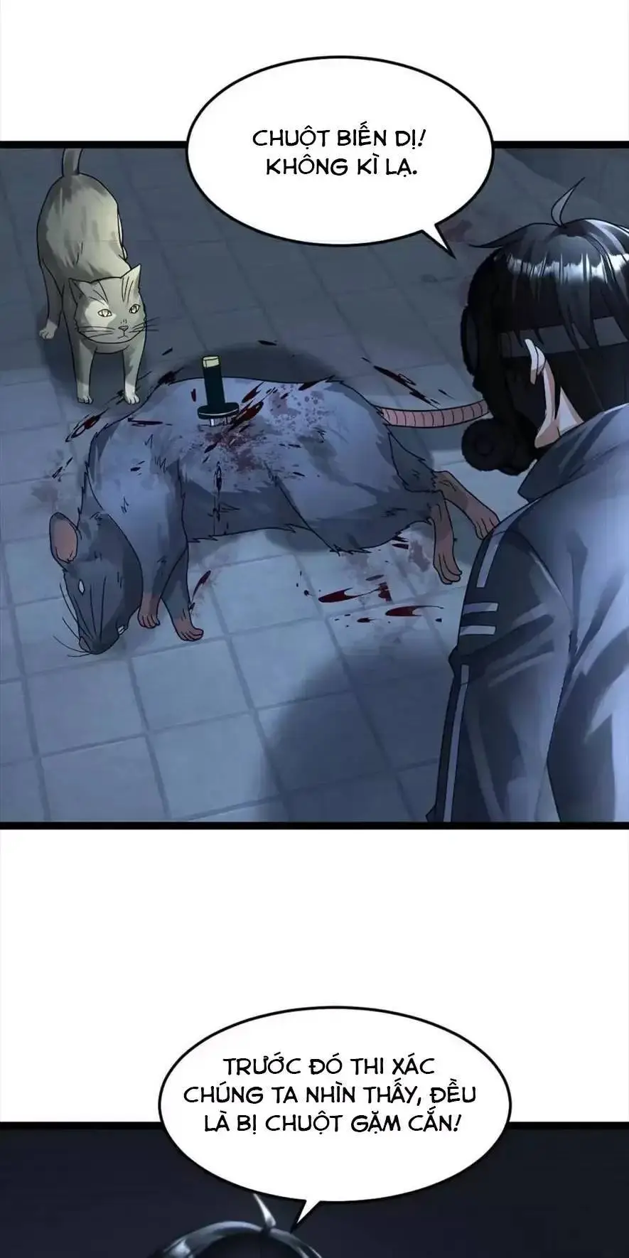 Chapter 355