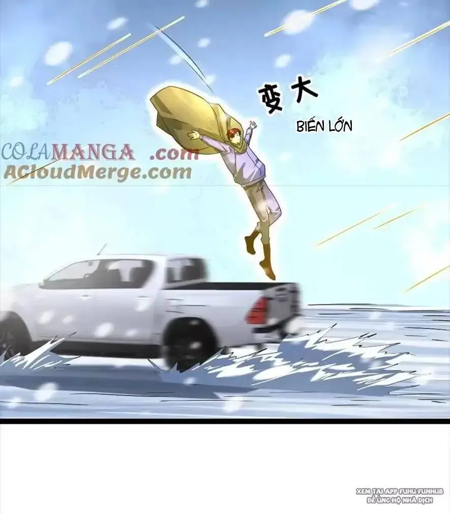 Chapter 323