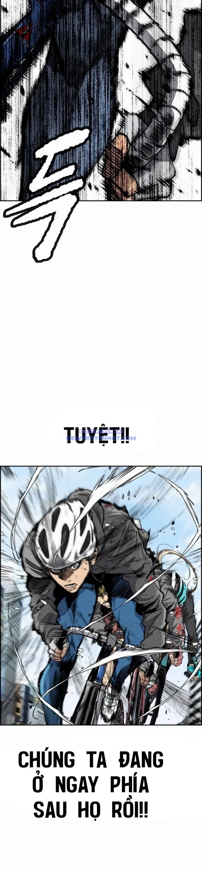 Chapter 528