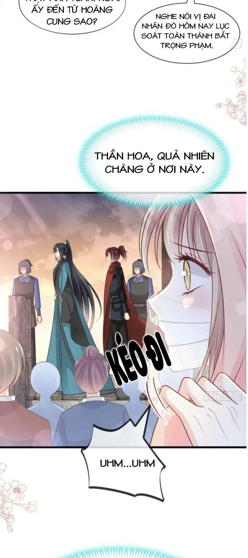 Chapter 219.1