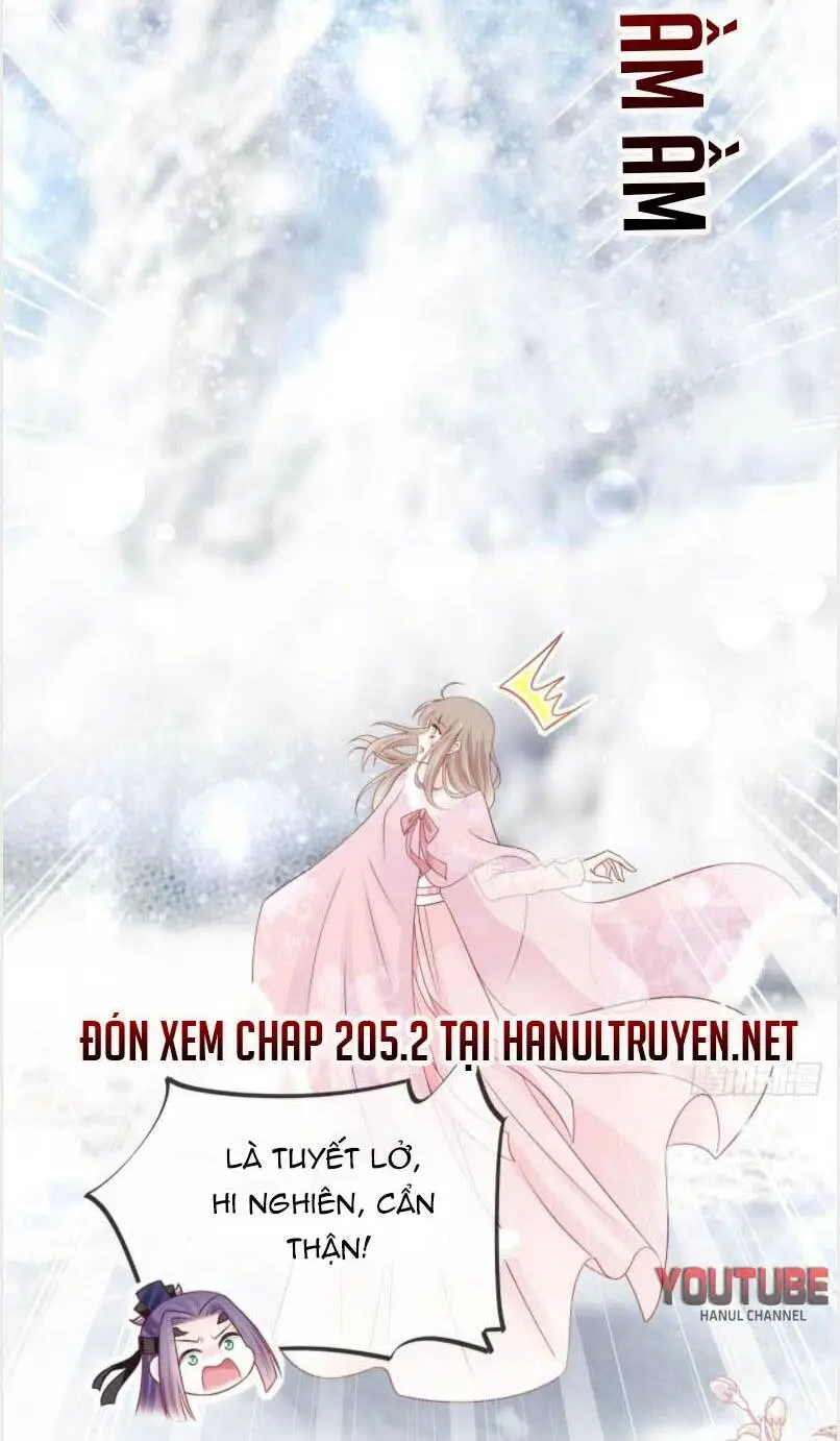 Chapter 205.1