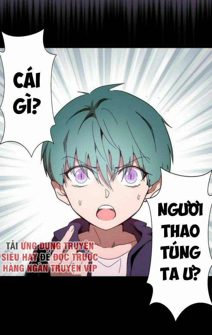 Chapter 95