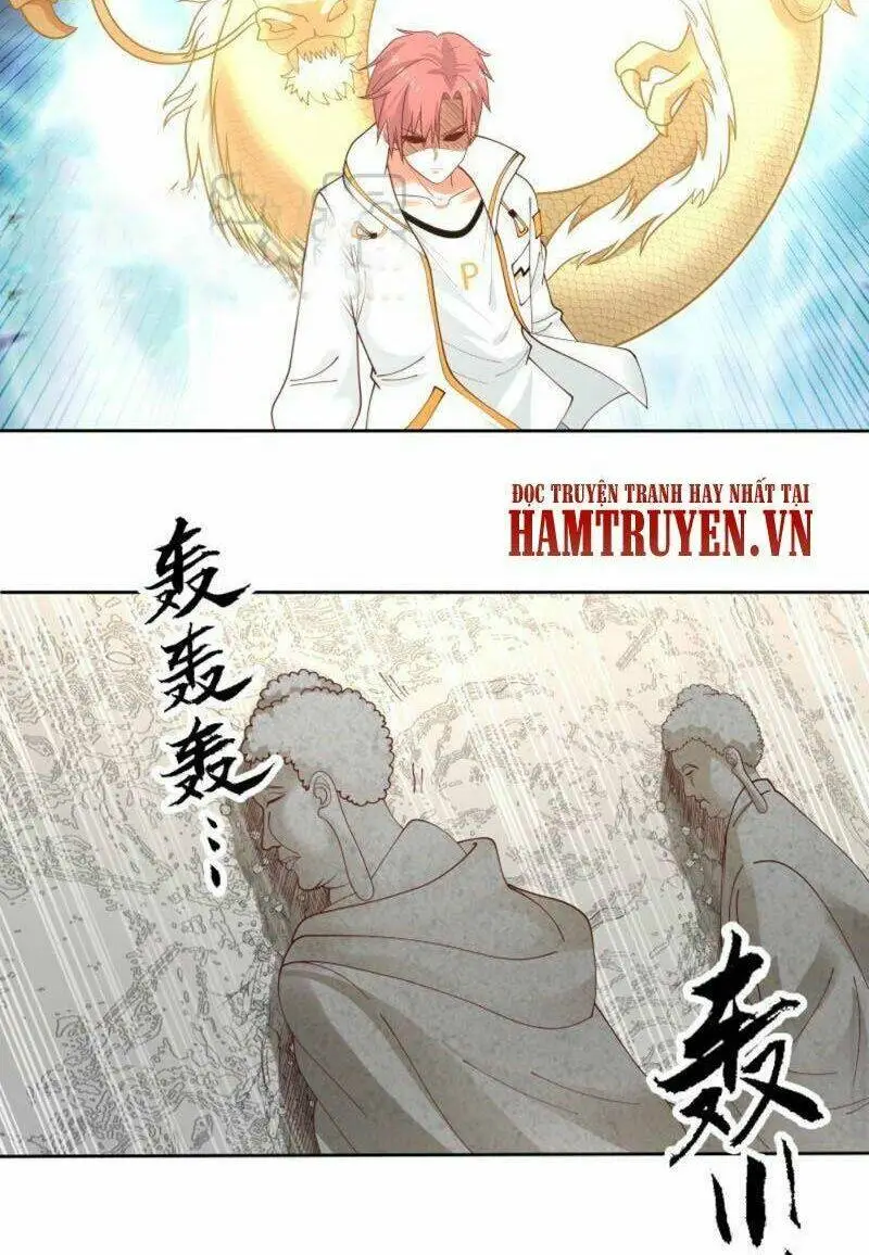 Chapter 338