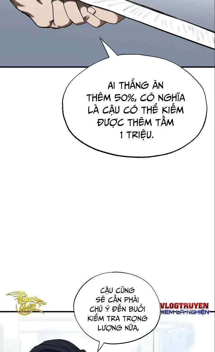 Chapter 13