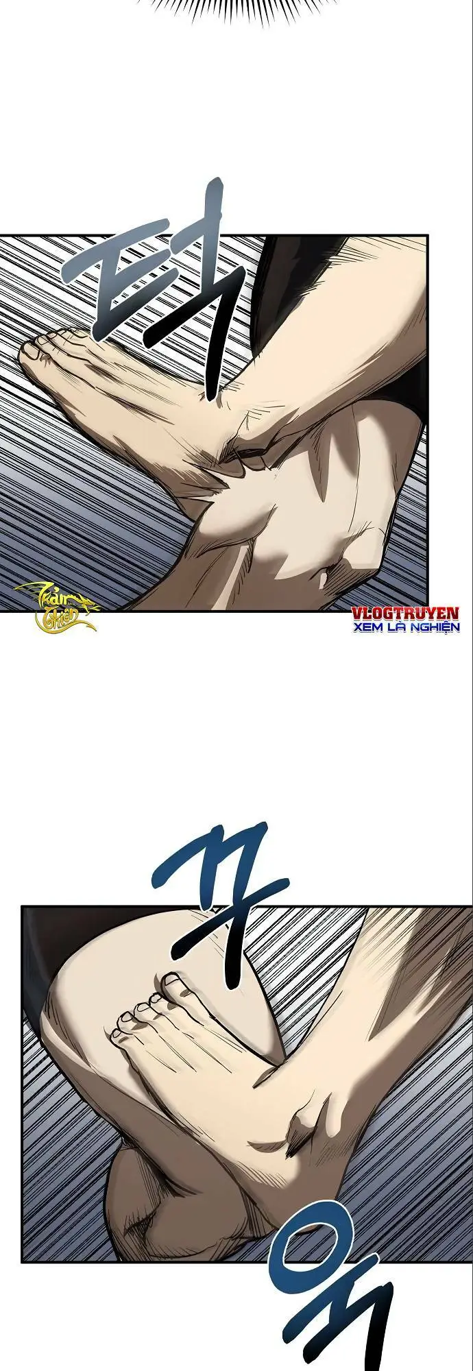 Chapter 13