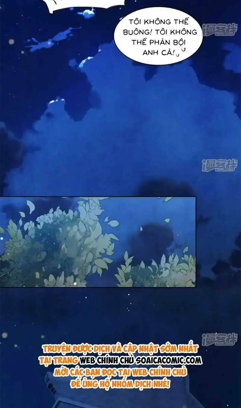 Chapter 126