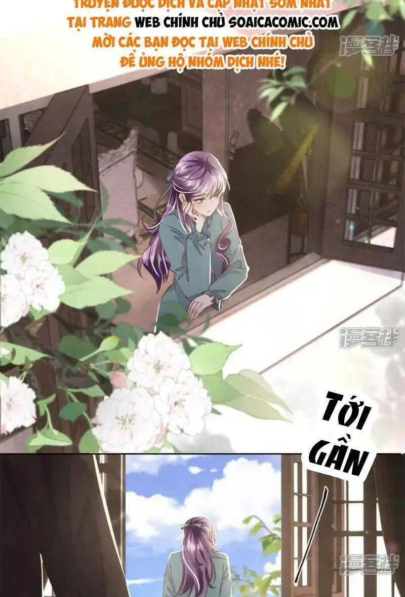 Chapter 114