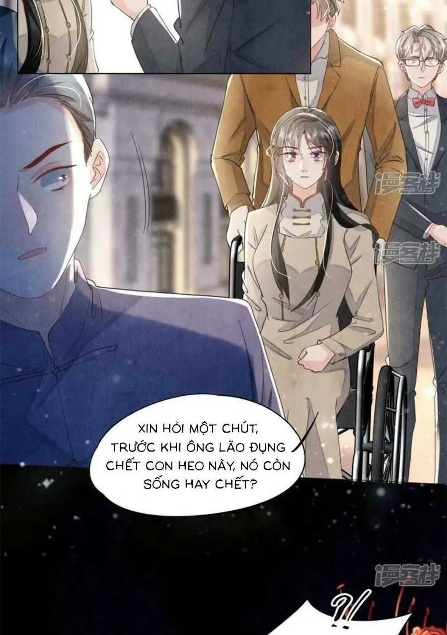 Chapter 95