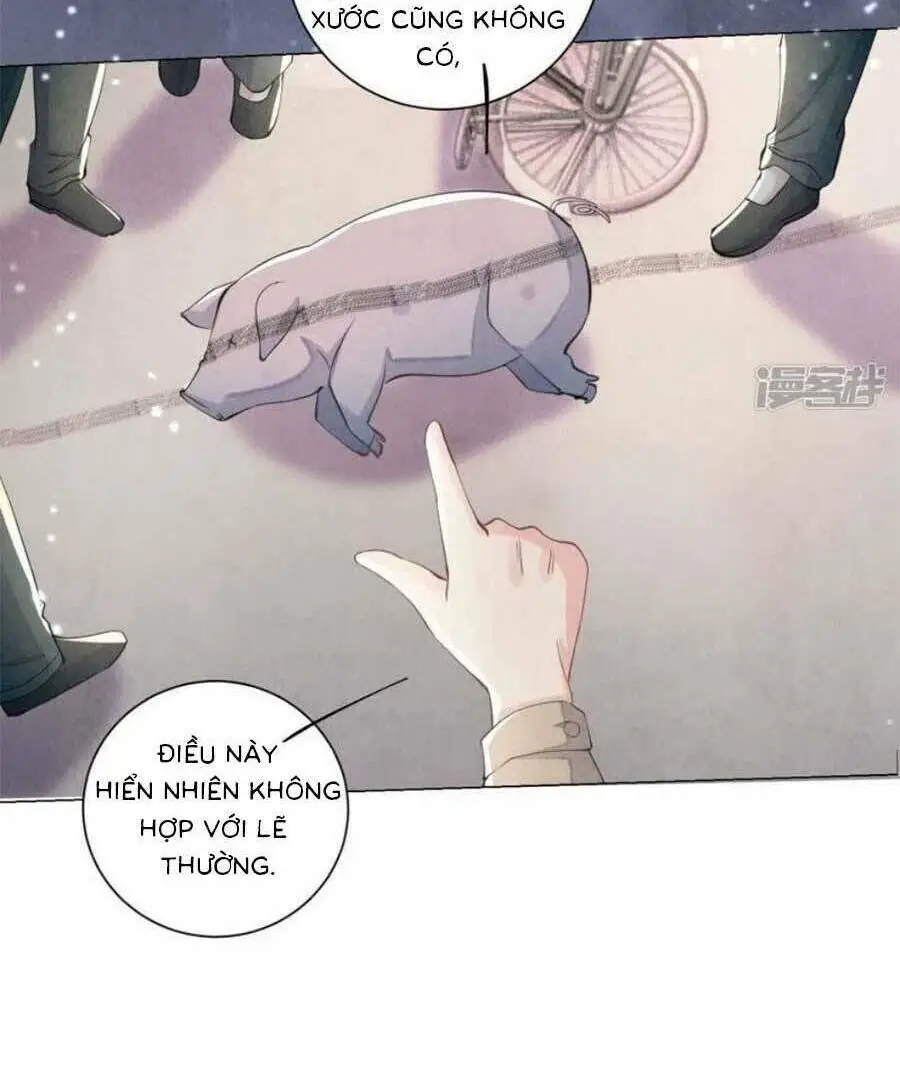 Chapter 95