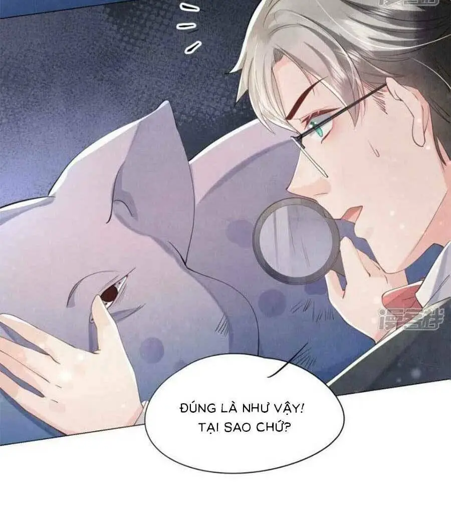 Chapter 95