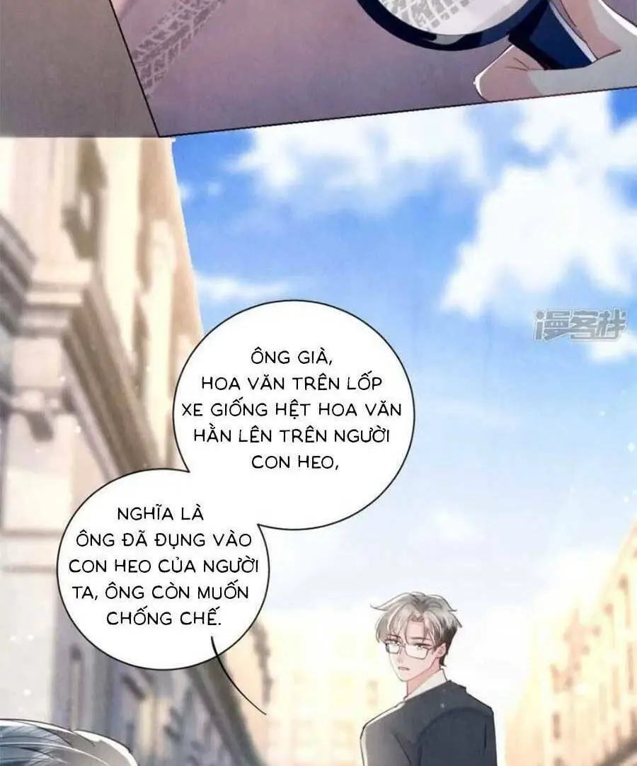 Chapter 95