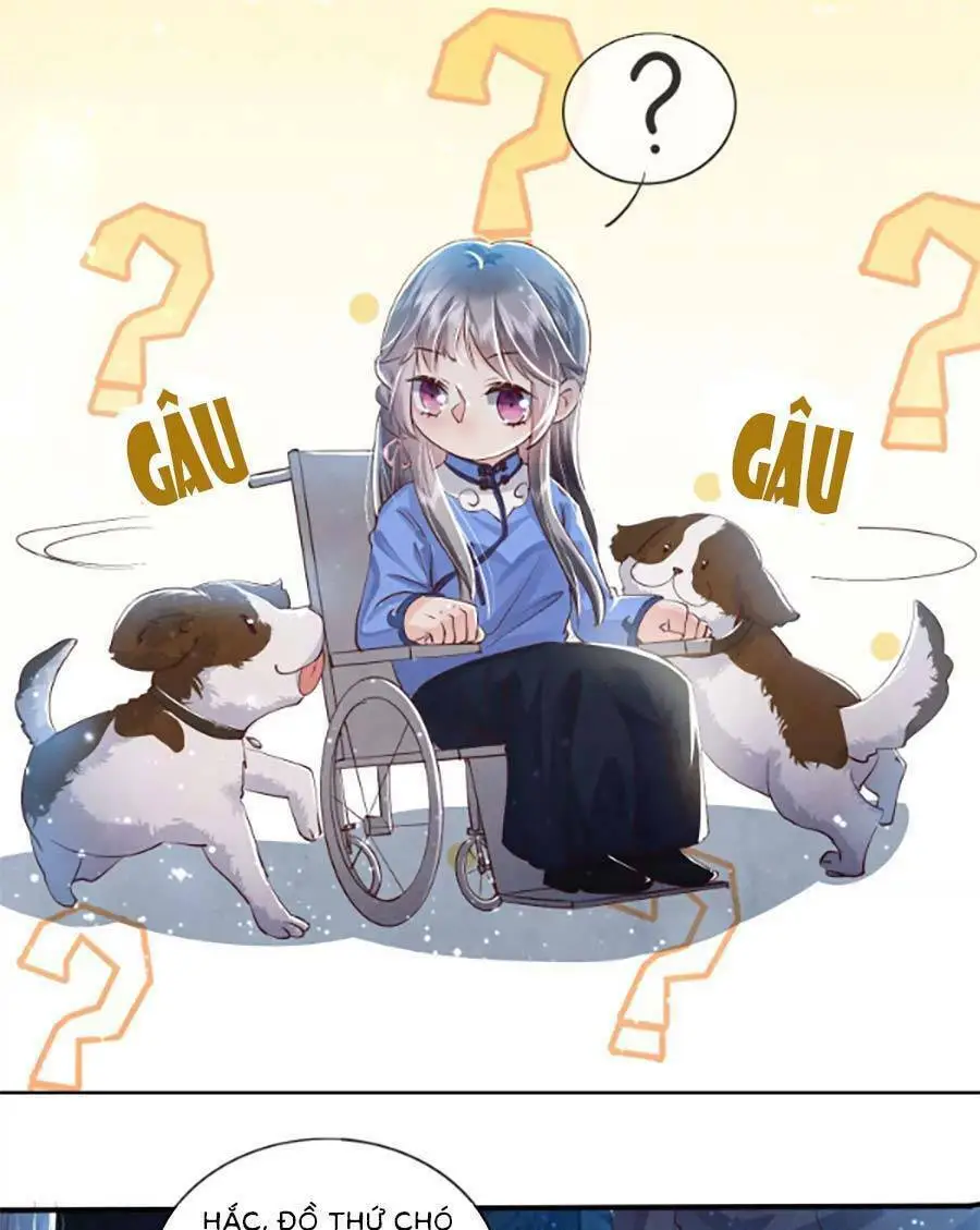 Chapter 62