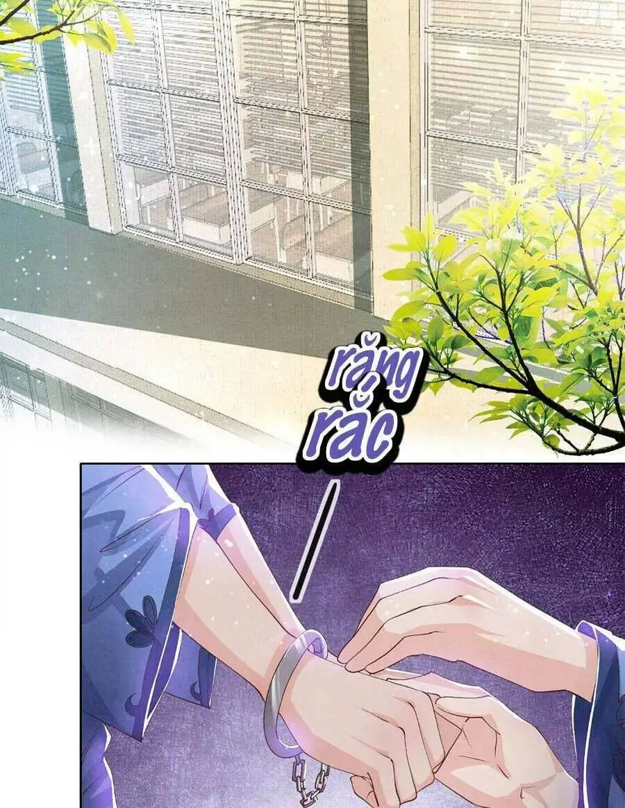 Chapter 61