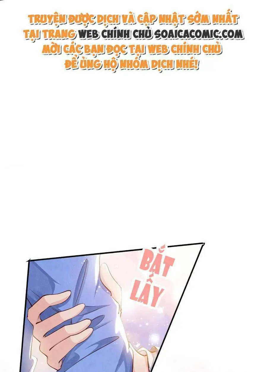 Chapter 51
