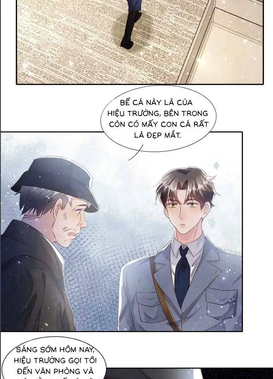 Chapter 48
