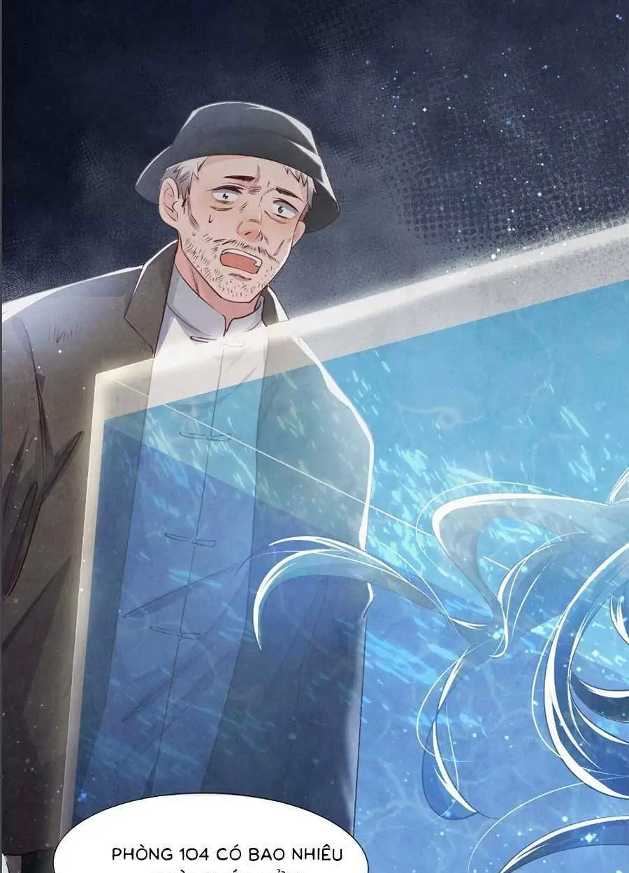 Chapter 48