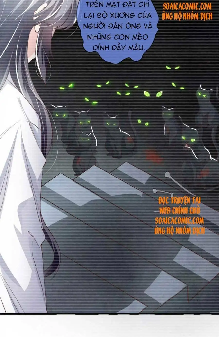 Chapter 19