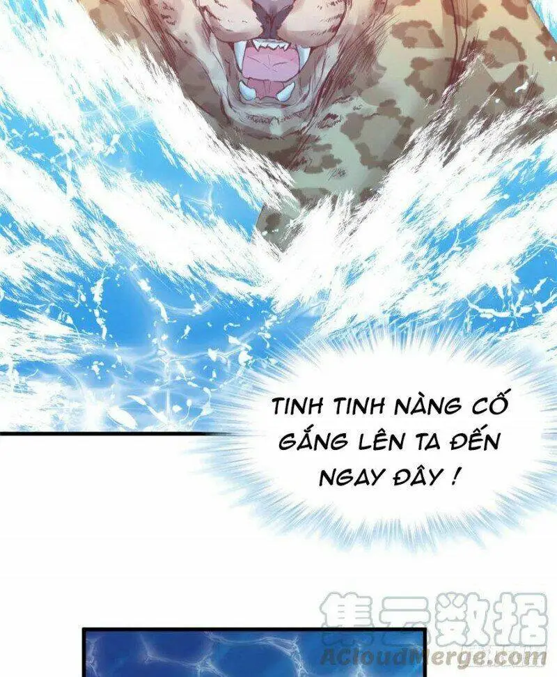 Chapter 219