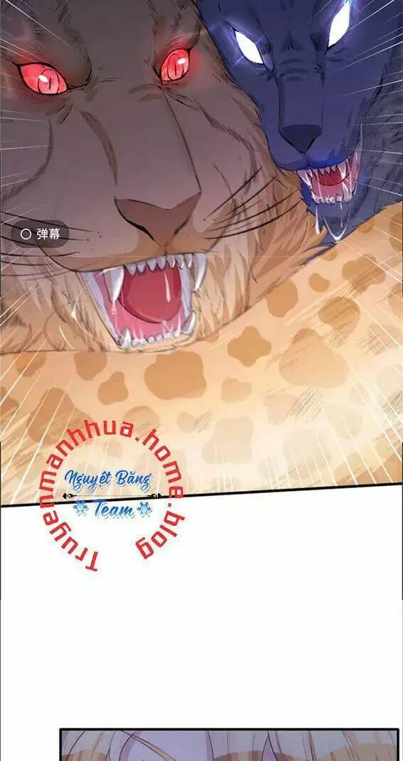 Chapter 96