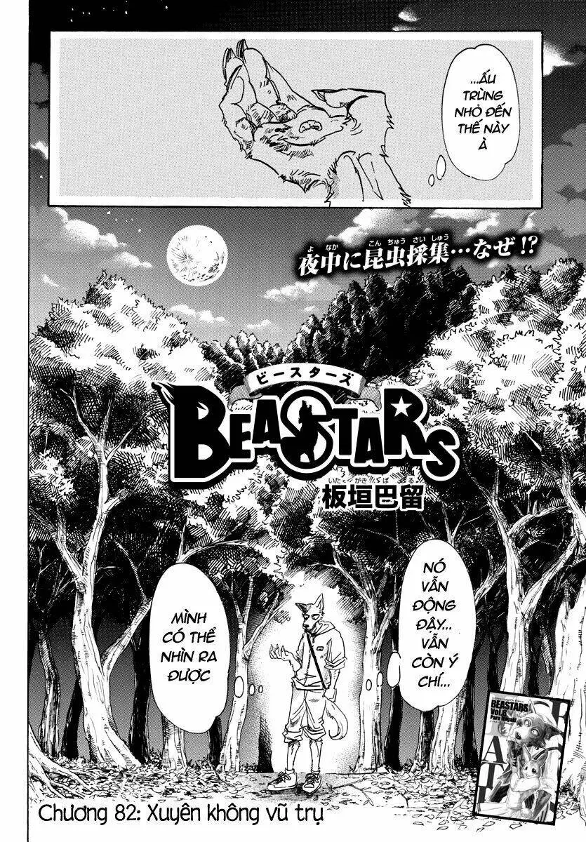 Chapter 82