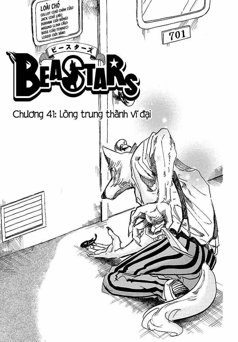 Chapter 41