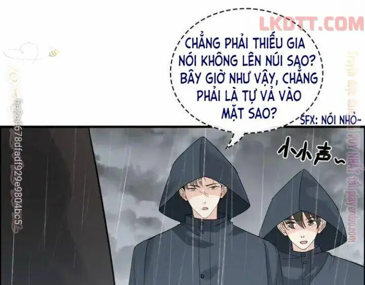 Chapter 338