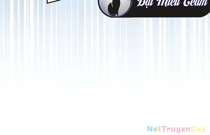 Chapter 111