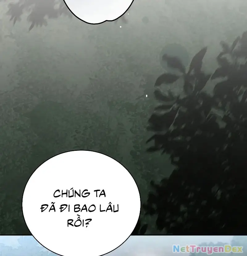 Chapter 111