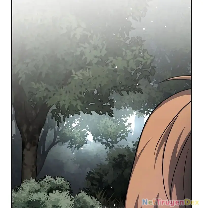 Chapter 111