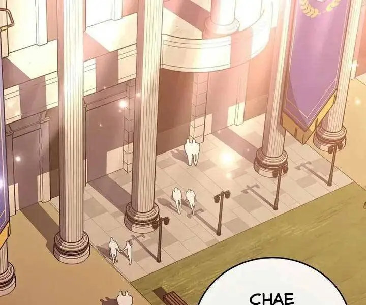Chapter 33