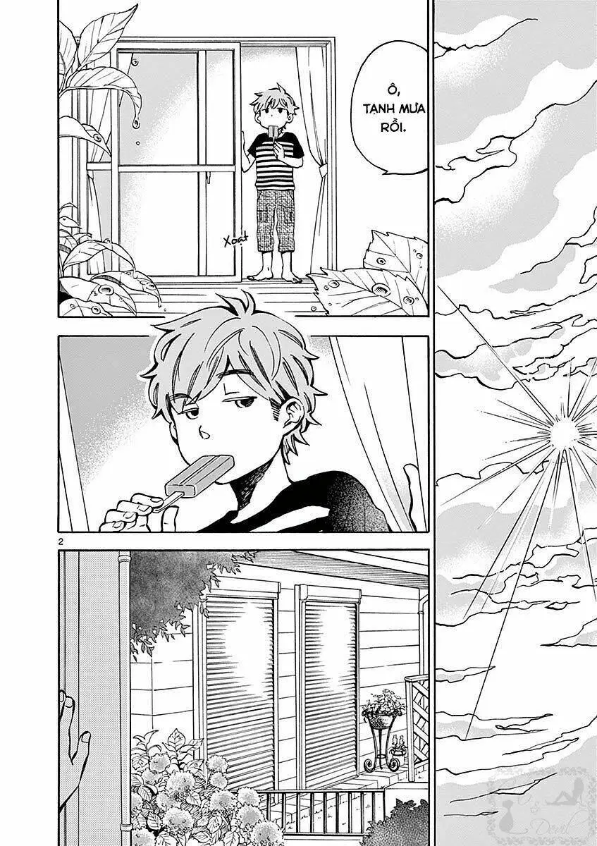 Chapter 11