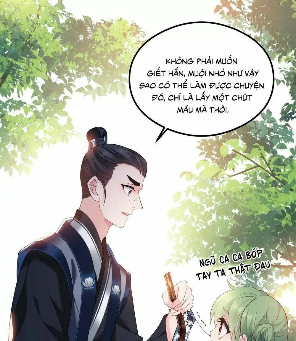 Chapter 41