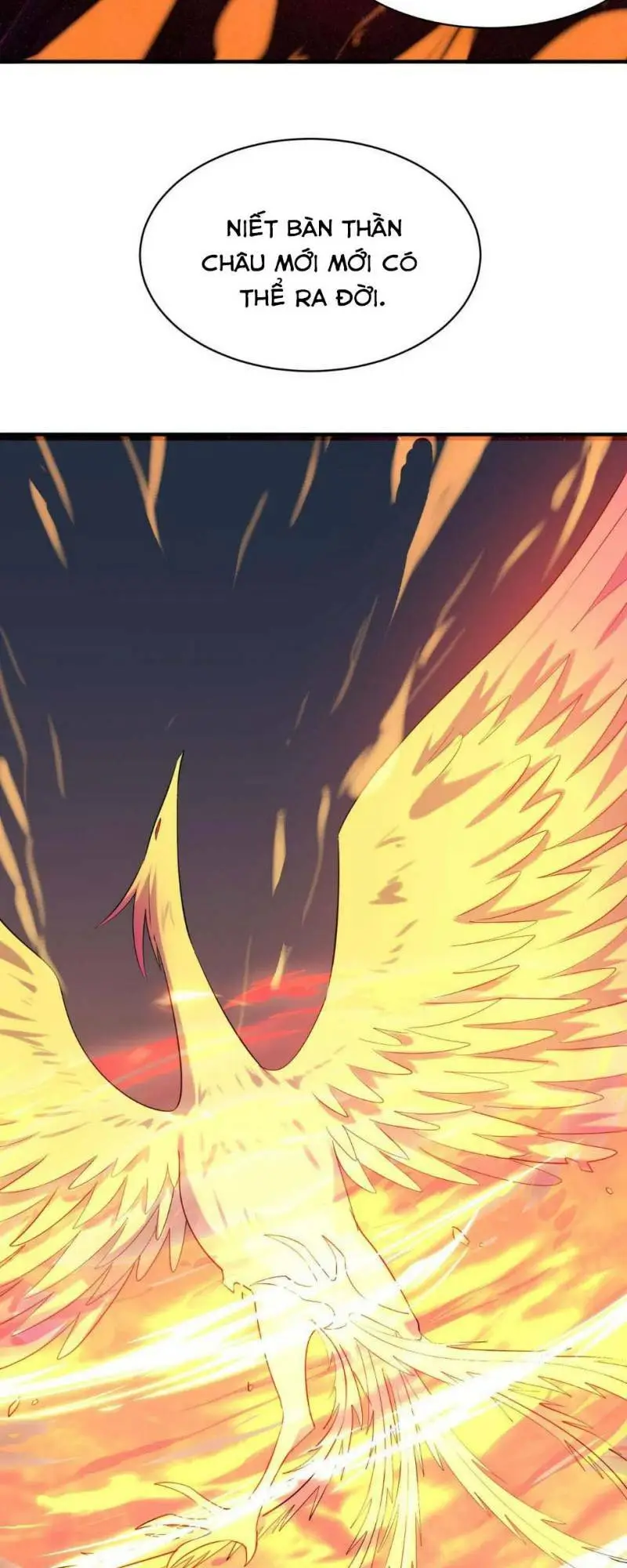 Chapter 99