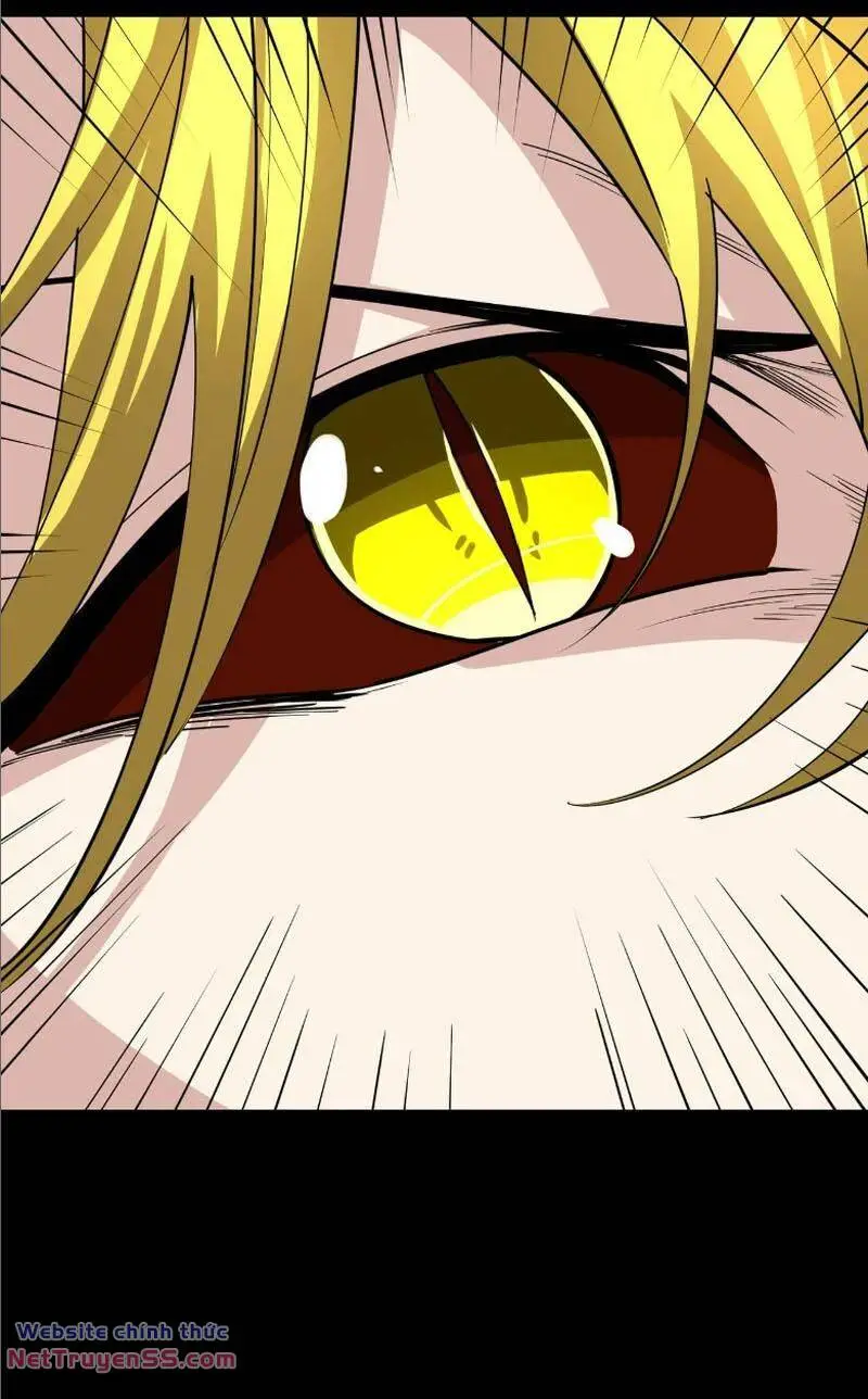 Chapter 81