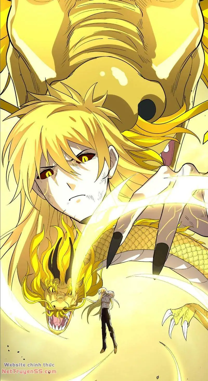 Chapter 81